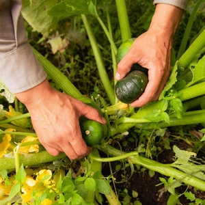 reservael44-actividades-gal-6_final