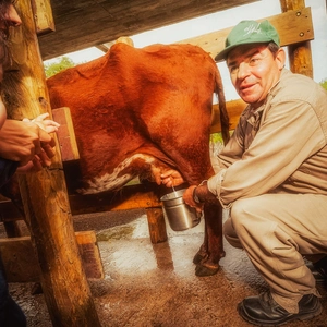 reservael44-actividades-gal-9_final